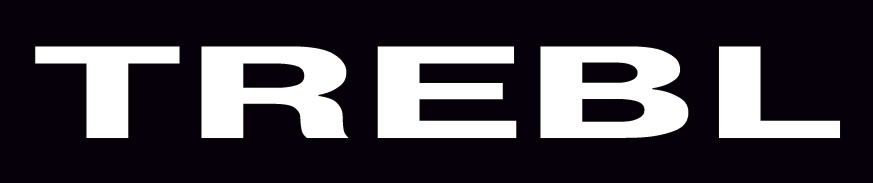 Диски TREBL Steel Wheels